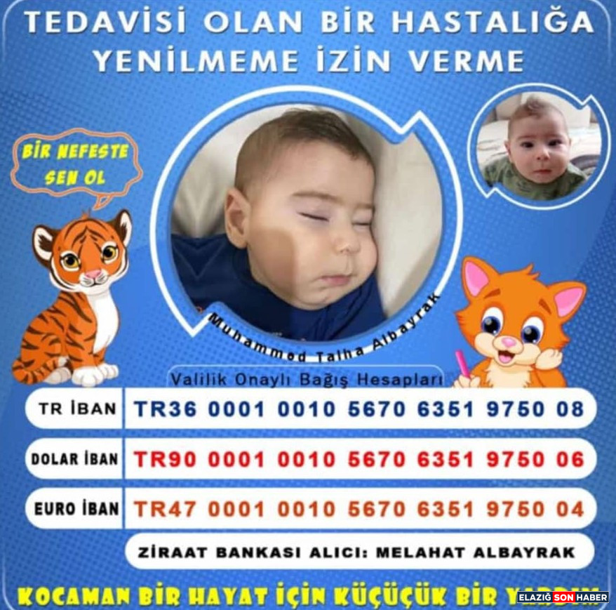 Whatsapp Image 2025 07 29 At 17.23.04