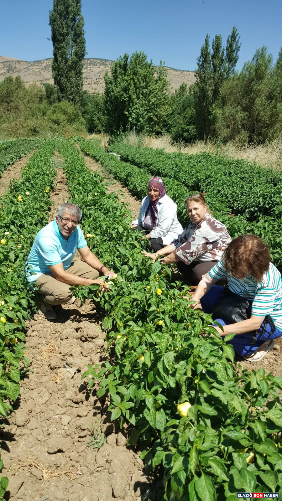 6Ab1A378 732B 4B2A 8B53 171F03395Bb5