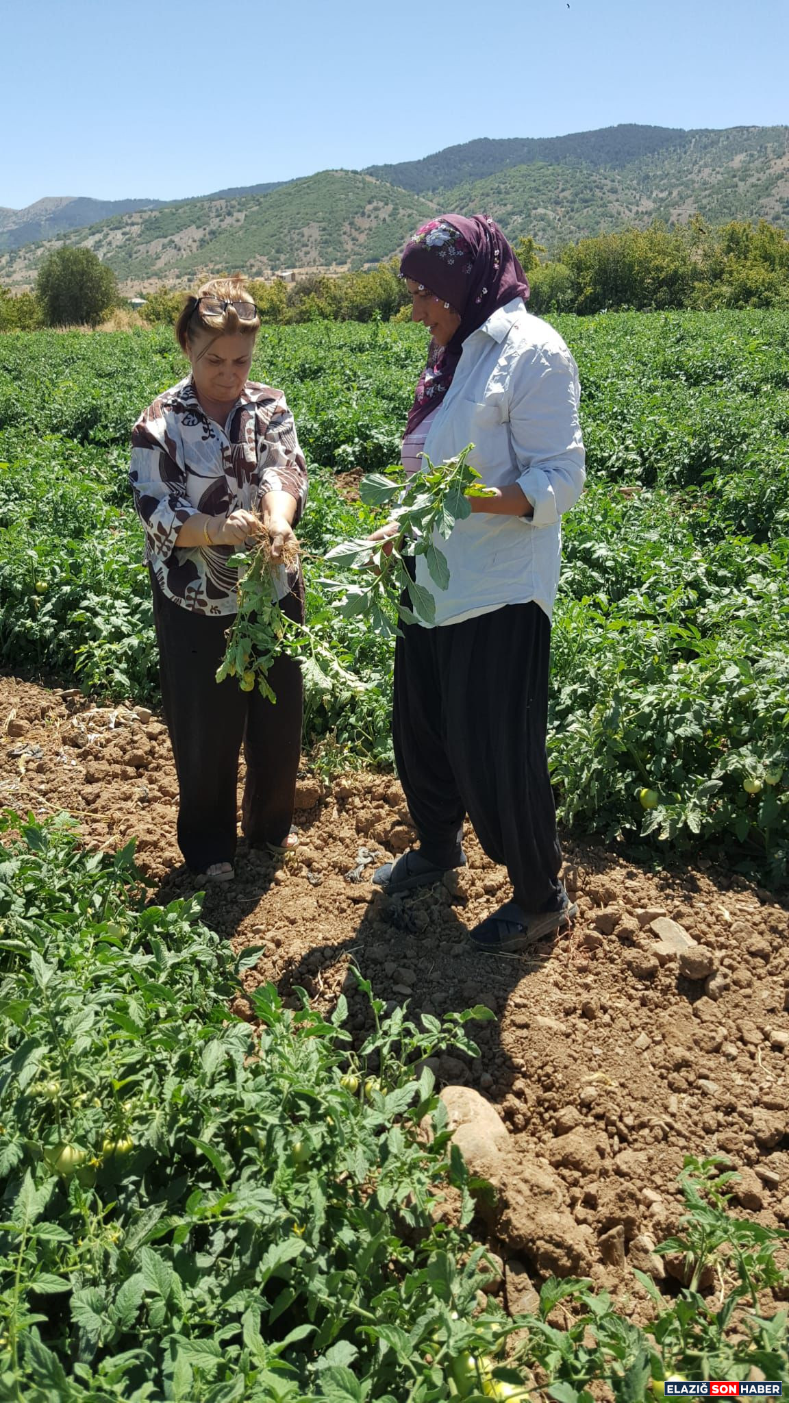 6B1Af704 E3B0 4955 Af94 Eef206C5A009