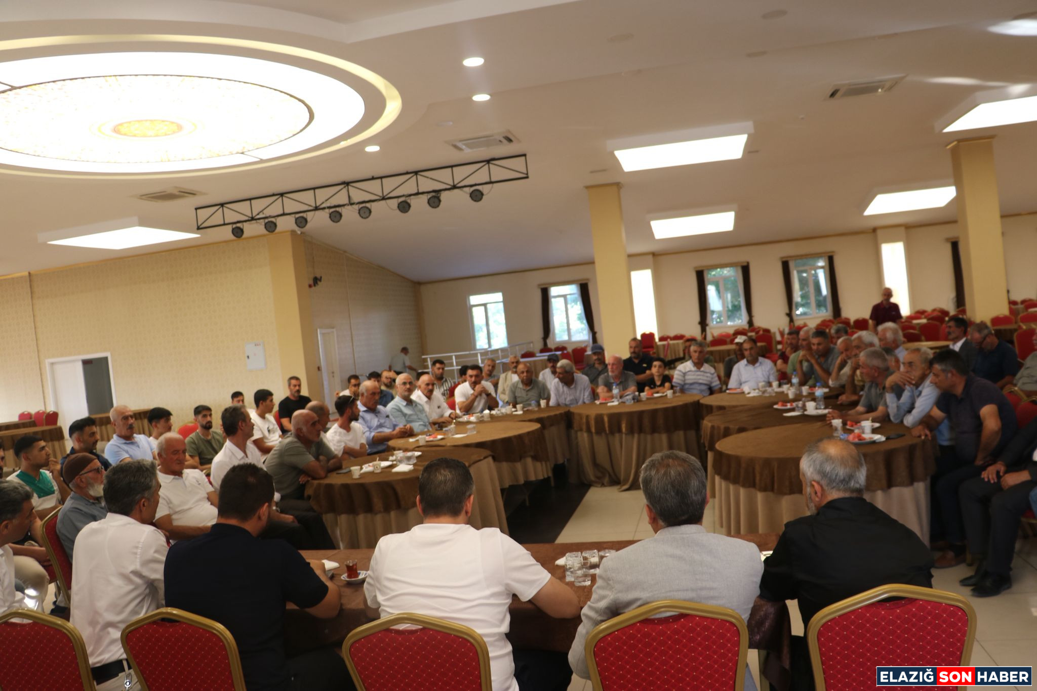 I M G 20250819 W A0017