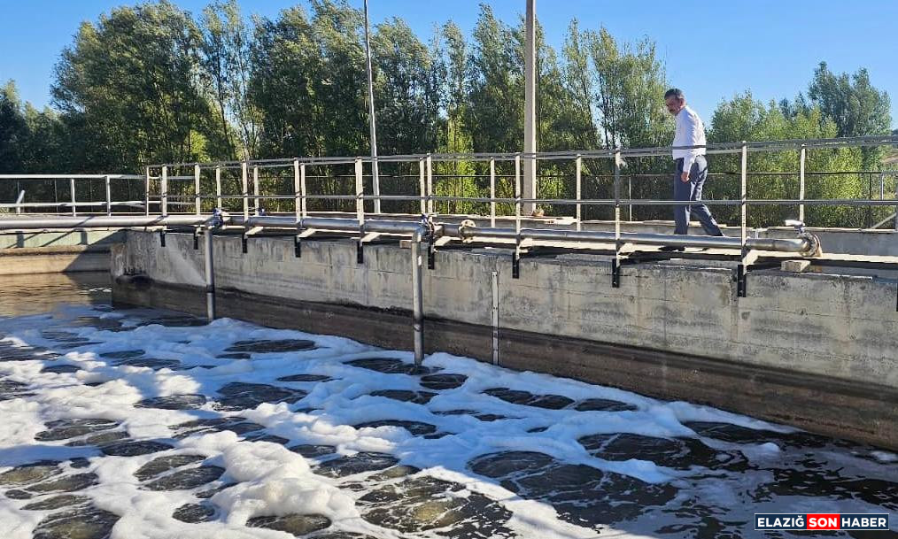 I M G 20250821 W A0098