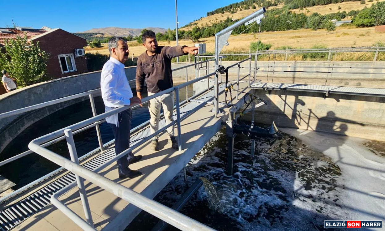 I M G 20250821 W A0101