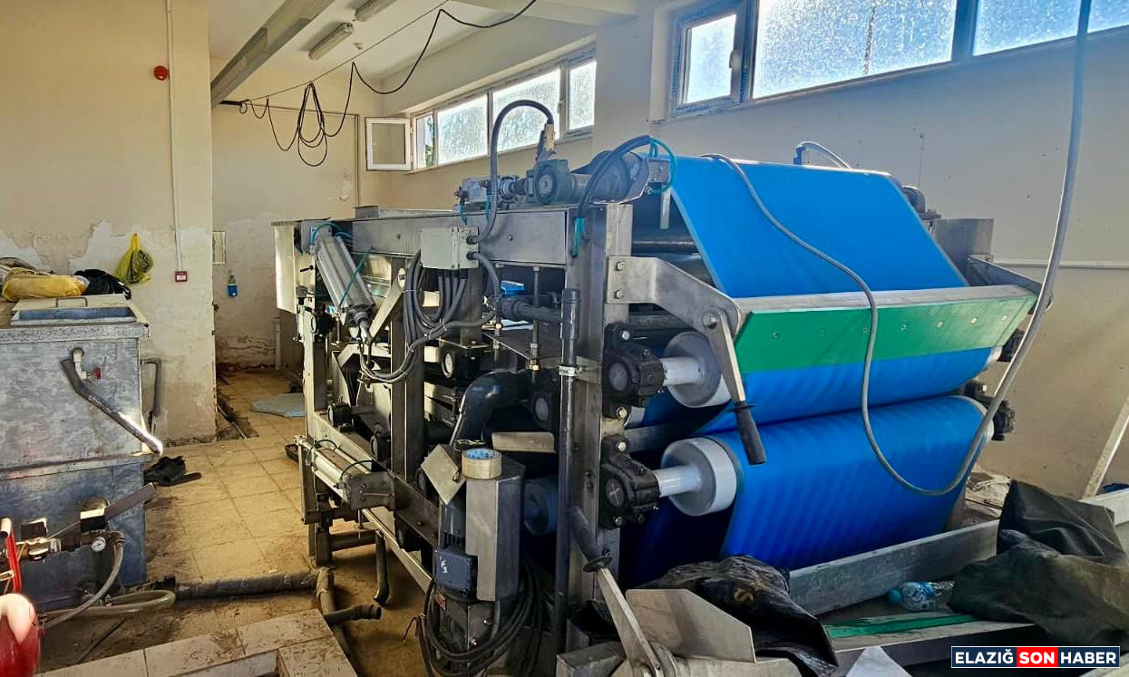 I M G 20250821 W A0102