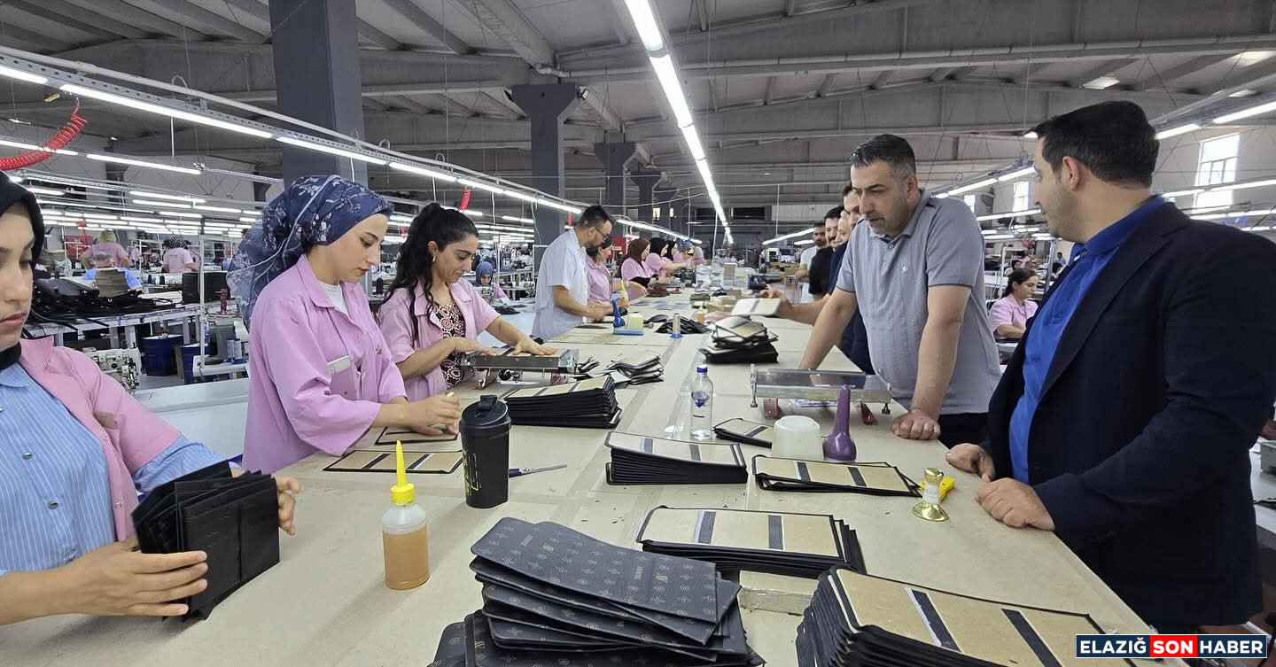 I M G 20250823 W A0007