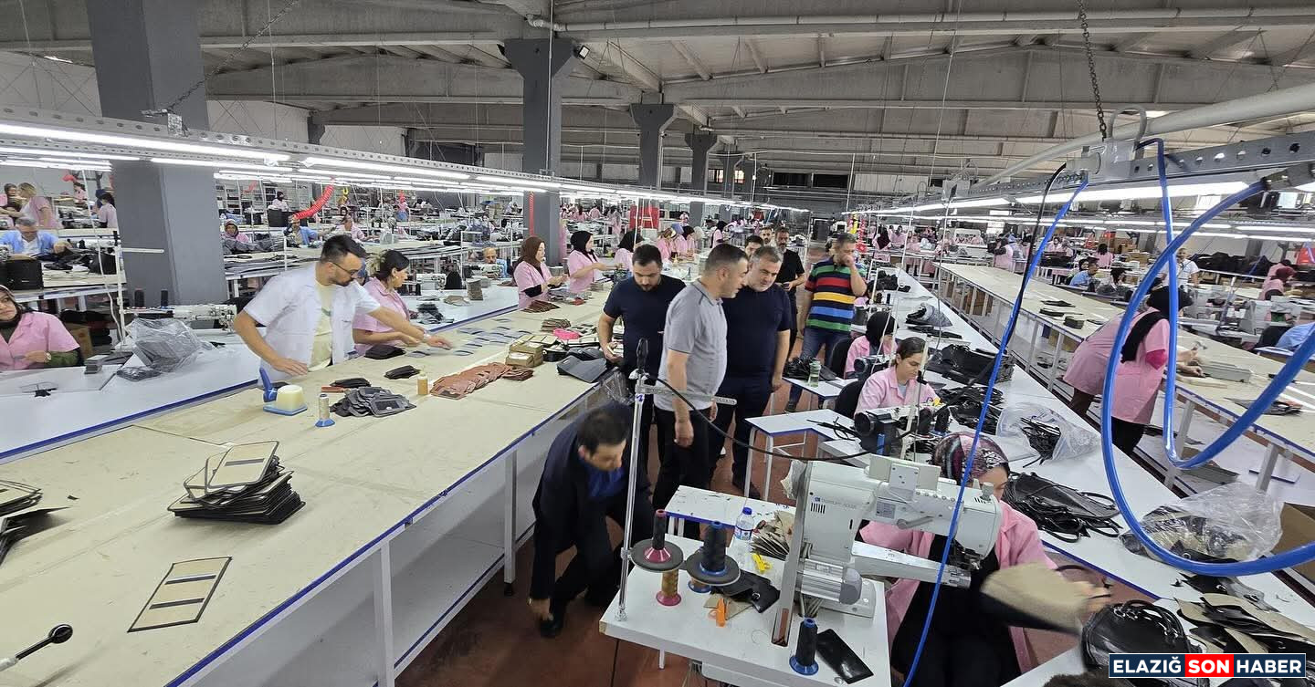 I M G 20250823 W A0008