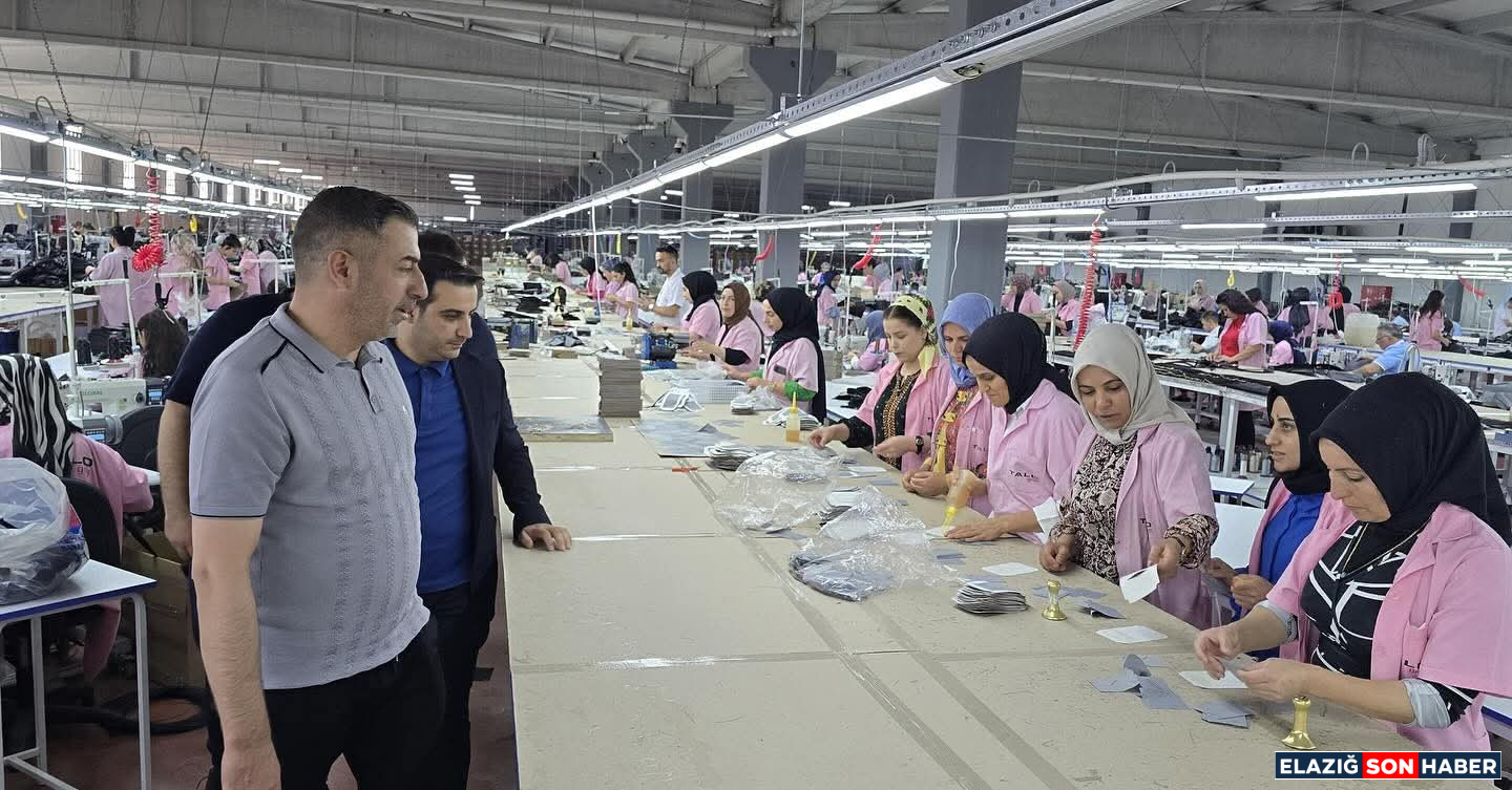 I M G 20250823 W A0012