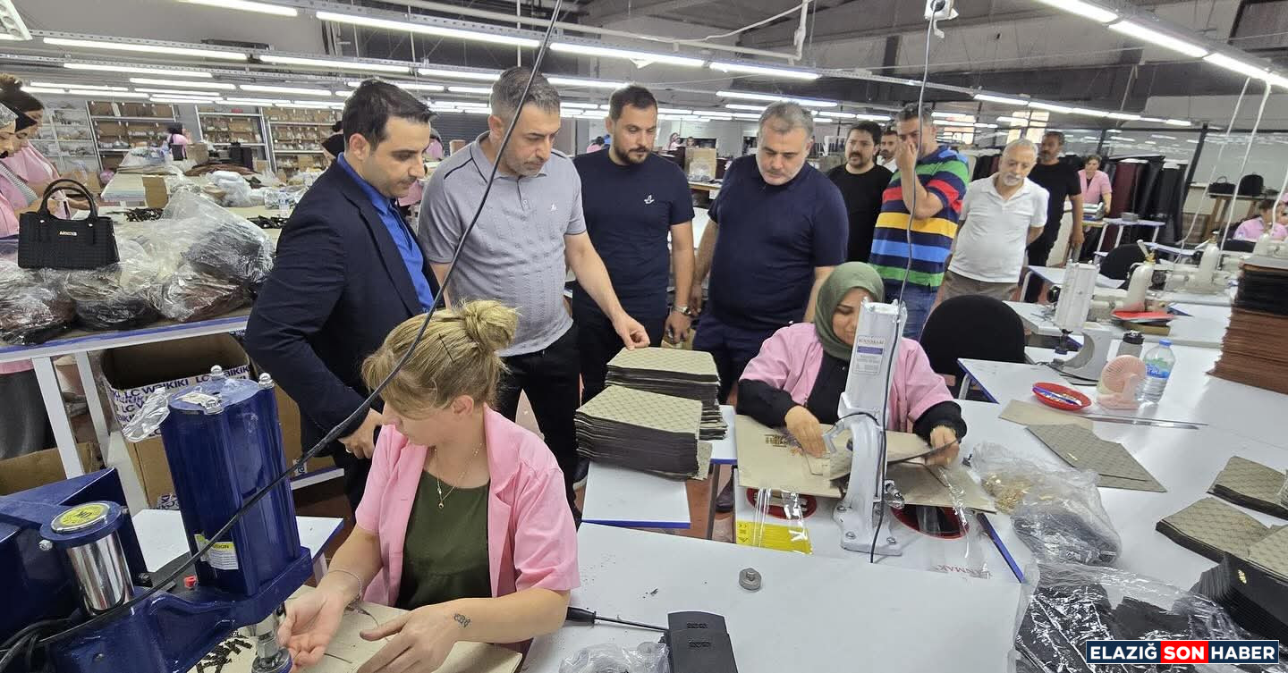 I M G 20250823 W A0013