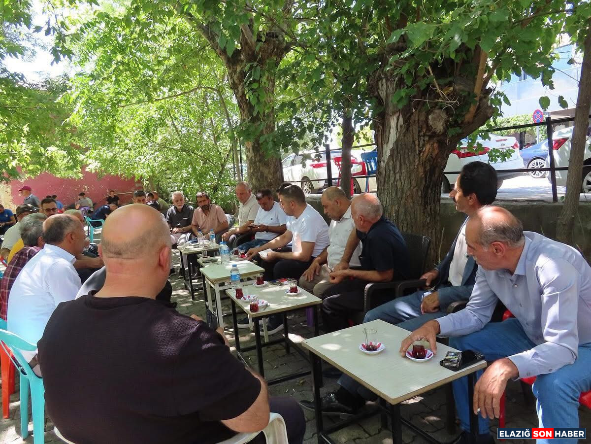 I M G 20250825 W A0025