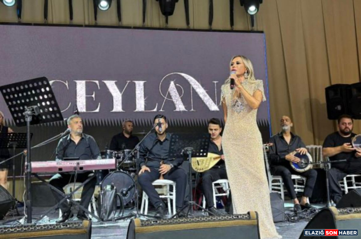 I M G 20250831 W A0022