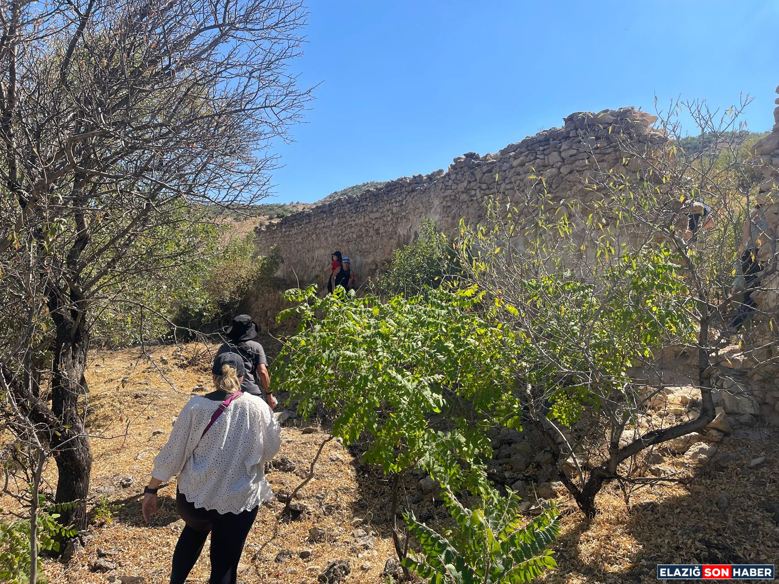 Whatsapp Görsel 2025 08 21 Saat 18.25.17 Eaaf148C