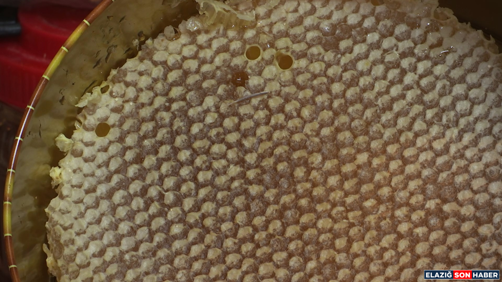 1756731023 312Eqwdas