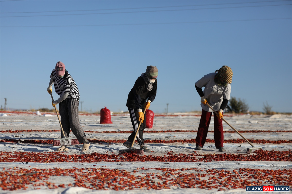 A A 20250916 39126221 39126205 E L A Z I G D A N I H R A C E D I L E N K U R U T U L M U S D O M A T E S D U N Y A S O F R A L A R I N A L E Z Z E T K A T I Y O R