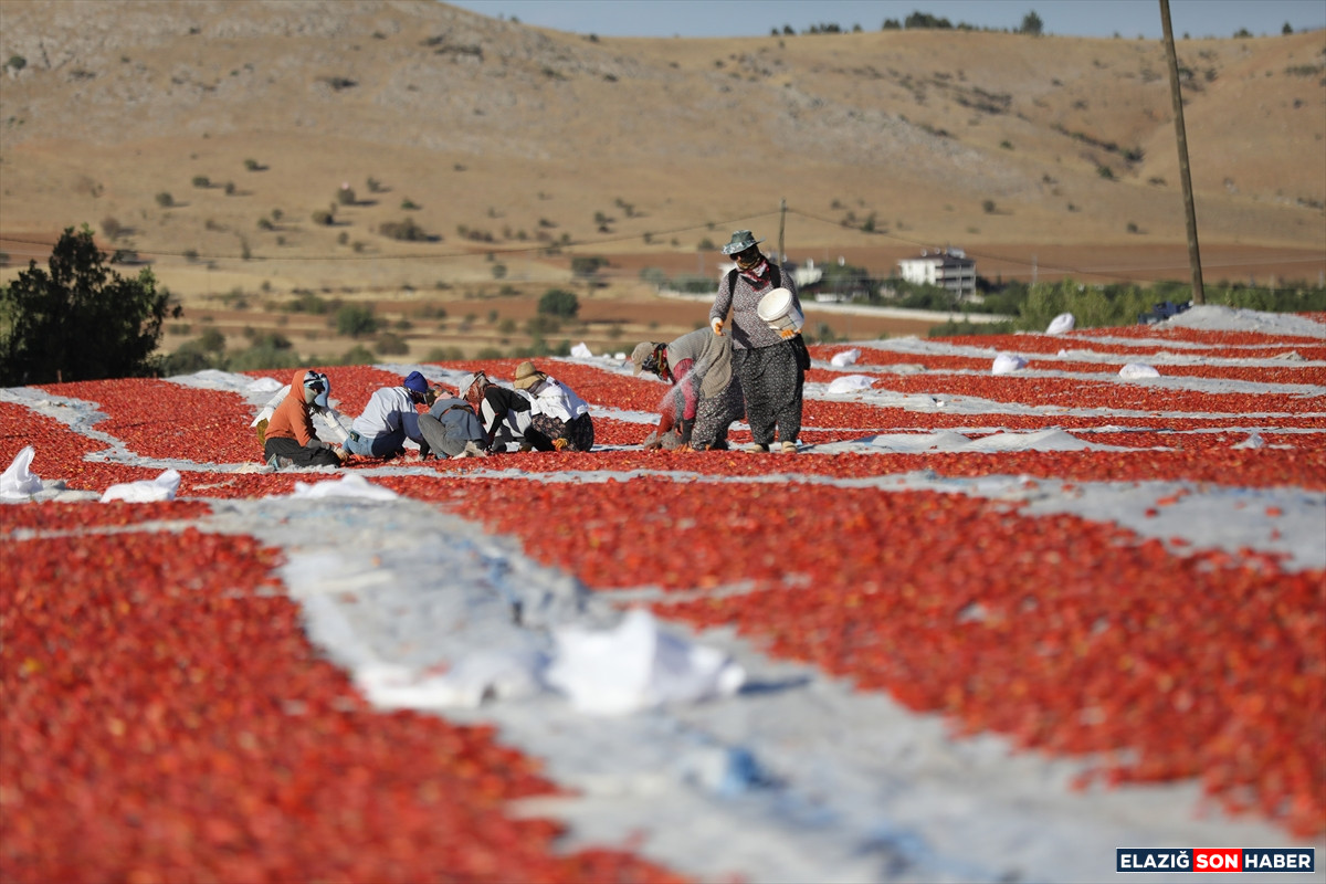 A A 20250916 39126221 39126207 E L A Z I G D A N I H R A C E D I L E N K U R U T U L M U S D O M A T E S D U N Y A S O F R A L A R I N A L E Z Z E T K A T I Y O R