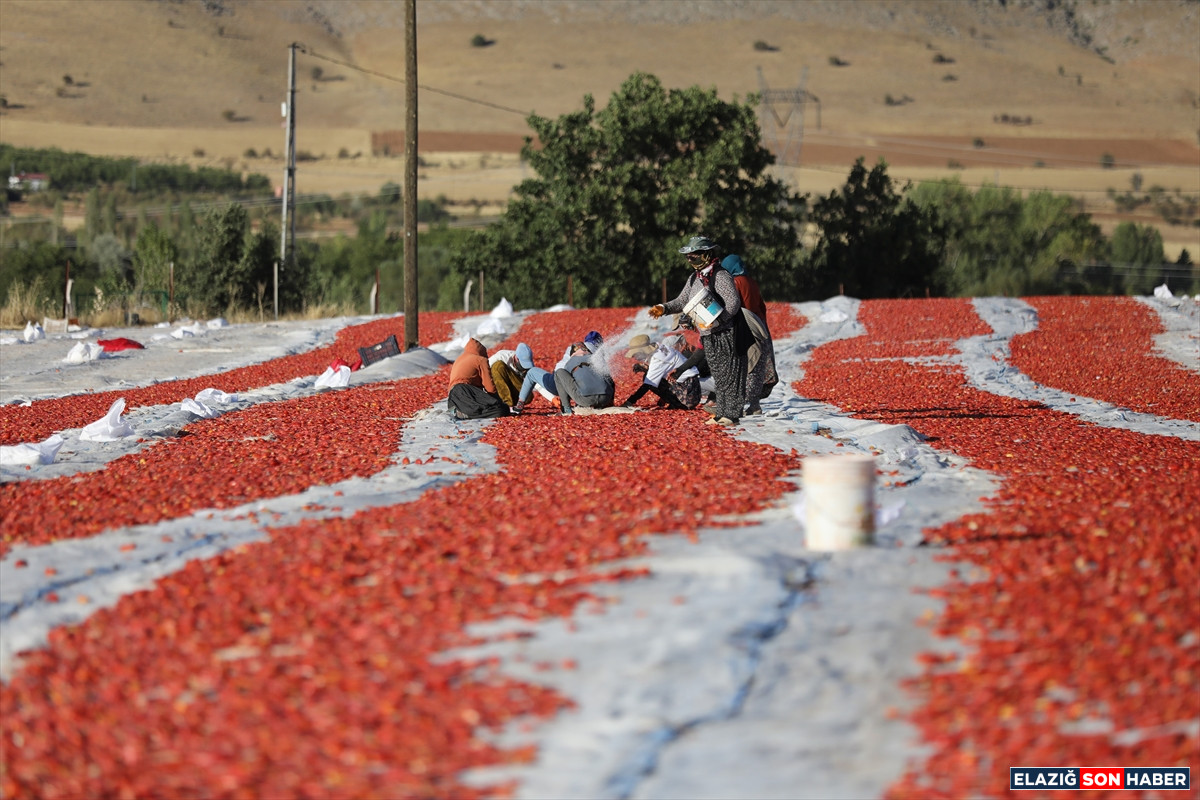 A A 20250916 39126221 39126208 E L A Z I G D A N I H R A C E D I L E N K U R U T U L M U S D O M A T E S D U N Y A S O F R A L A R I N A L E Z Z E T K A T I Y O R