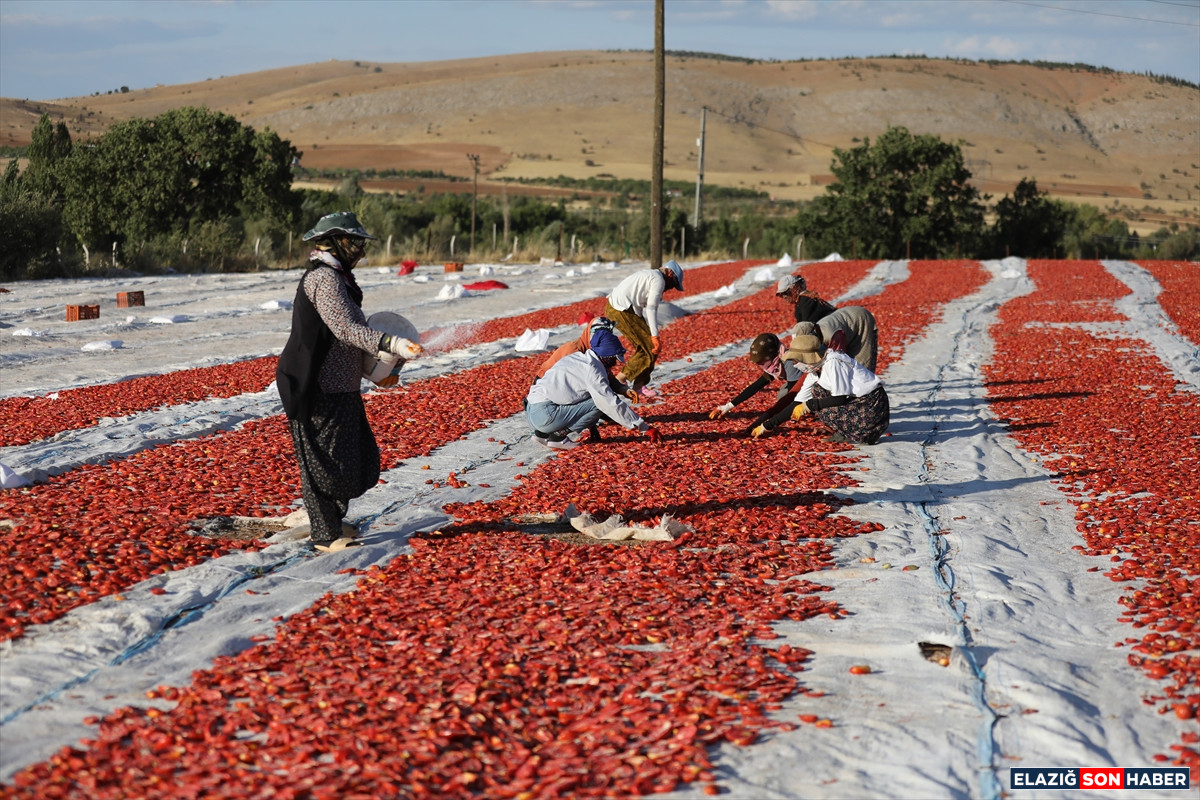 A A 20250916 39126221 39126209 E L A Z I G D A N I H R A C E D I L E N K U R U T U L M U S D O M A T E S D U N Y A S O F R A L A R I N A L E Z Z E T K A T I Y O R