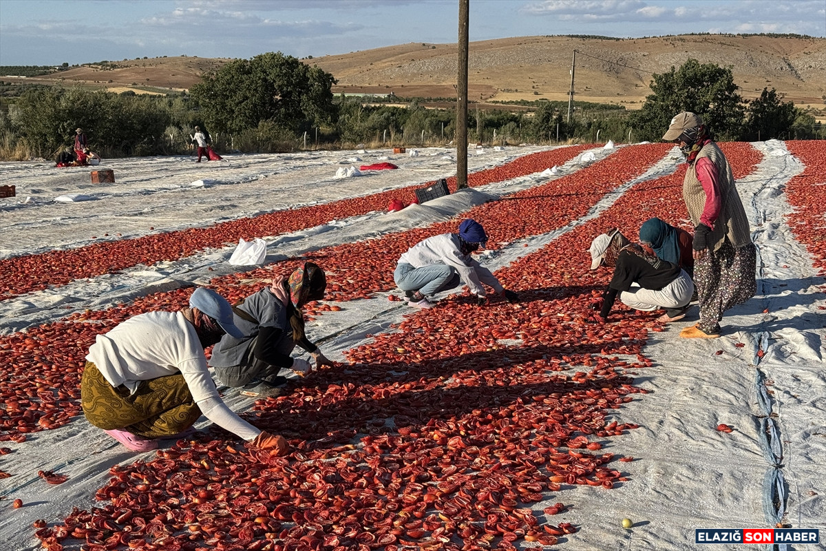 A A 20250916 39126221 39126210 E L A Z I G D A N I H R A C E D I L E N K U R U T U L M U S D O M A T E S D U N Y A S O F R A L A R I N A L E Z Z E T K A T I Y O R