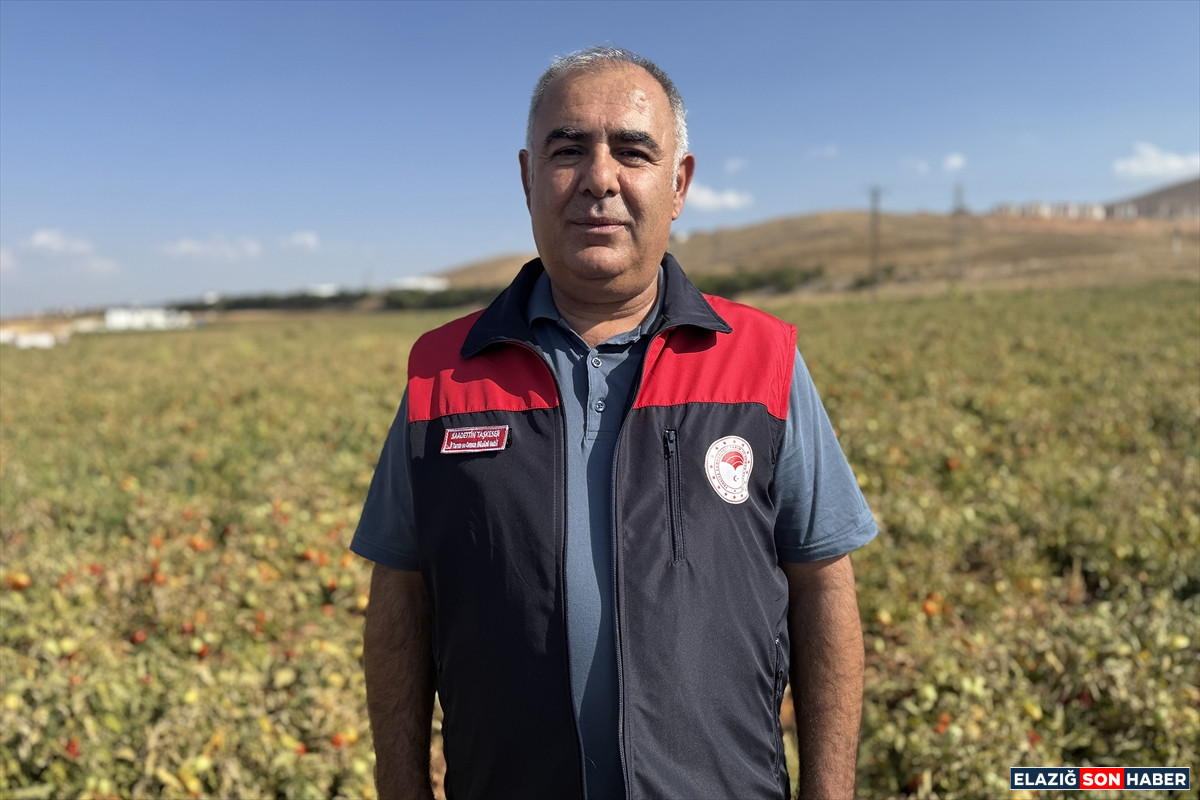 A A 20250916 39126221 39126214 E L A Z I G D A N I H R A C E D I L E N K U R U T U L M U S D O M A T E S D U N Y A S O F R A L A R I N A L E Z Z E T K A T I Y O R