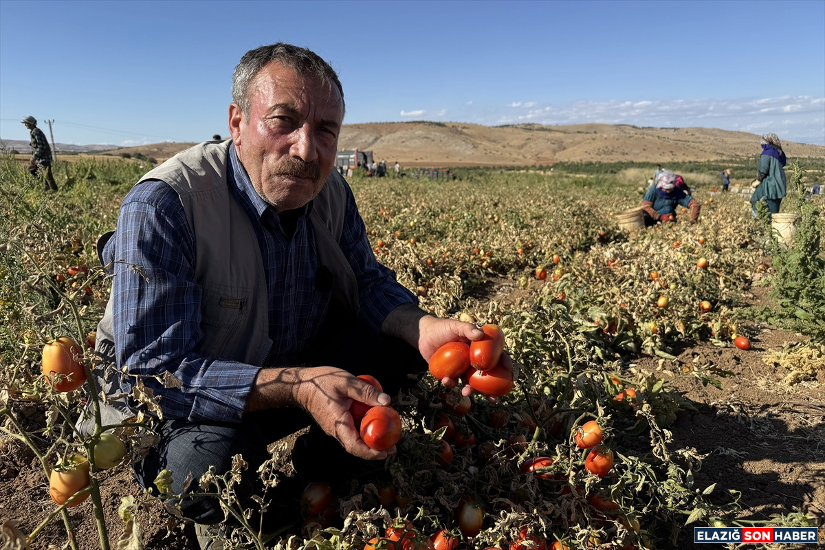 A A 20250916 39126221 39126215 E L A Z I G D A N I H R A C E D I L E N K U R U T U L M U S D O M A T E S D U N Y A S O F R A L A R I N A L E Z Z E T K A T I Y O R