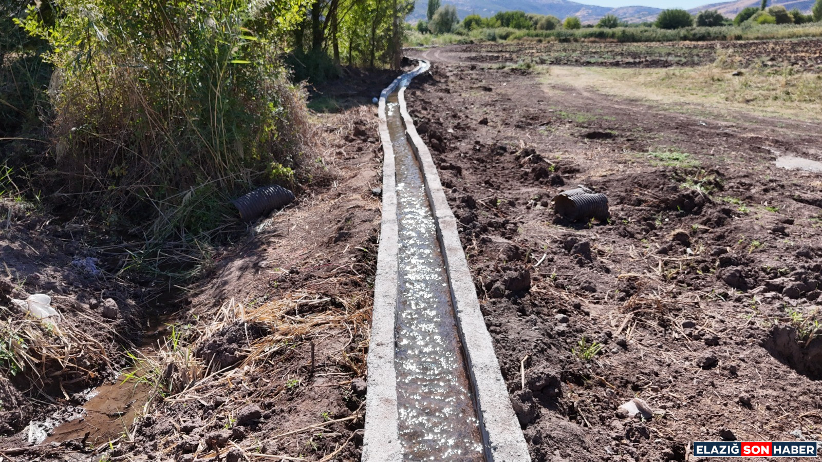 A7376D06 Ba33 464C 8B85 90Cc968Bc9Ef