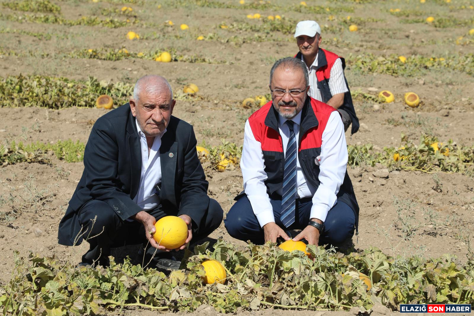 Cbf1E9F7 04Cd 4520 B0Fe F5B628992C44