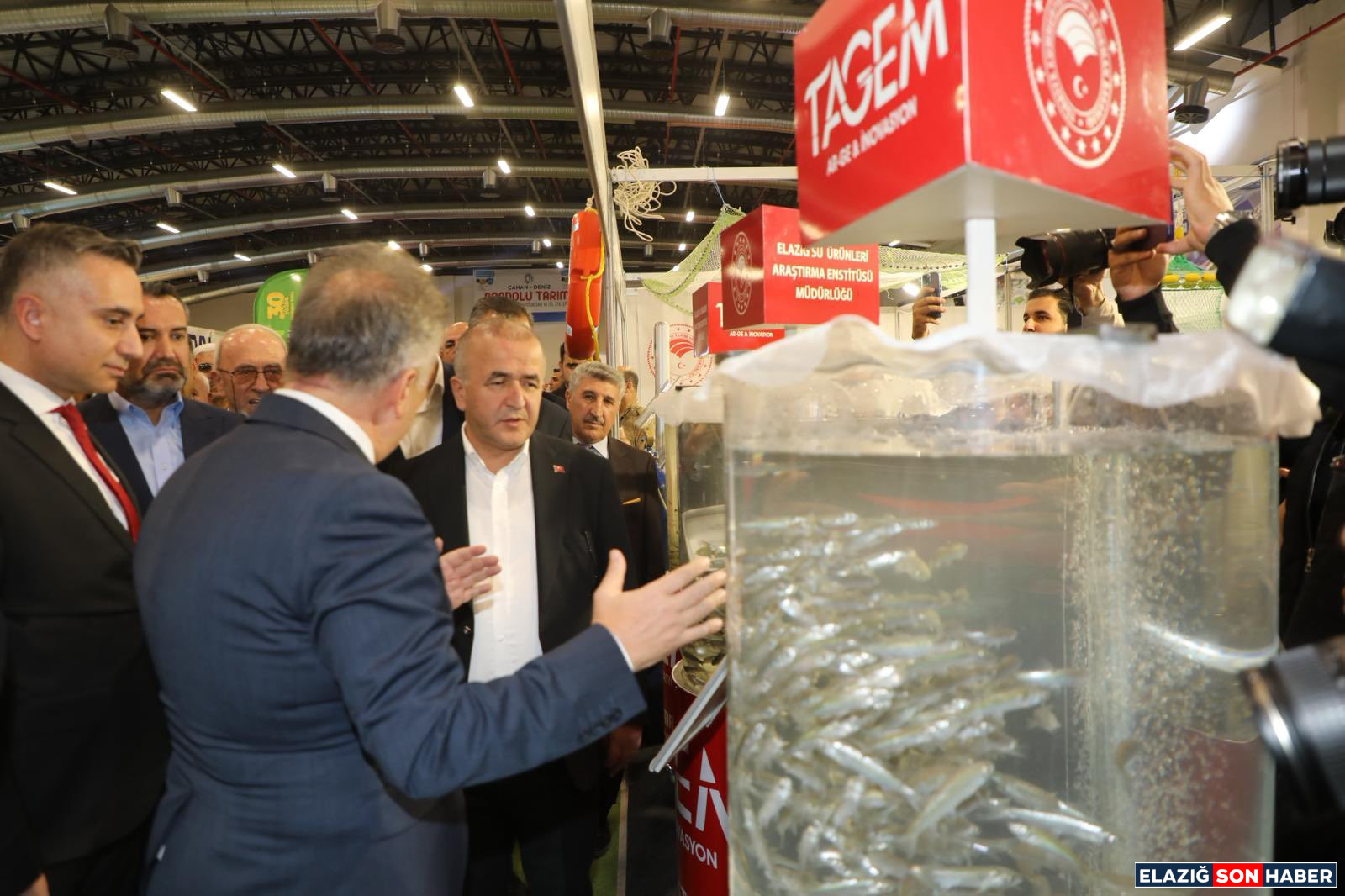 G1Ndbc1 Xg A A X R F P