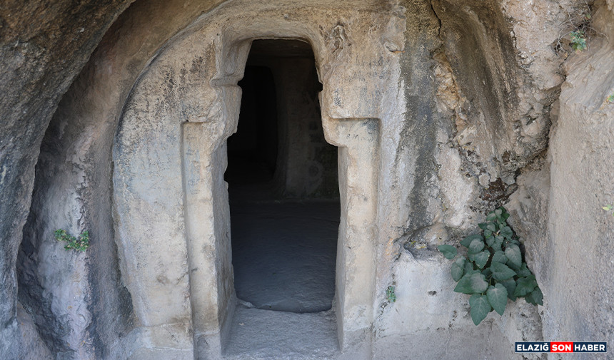 Untitled 1 Recovered-882