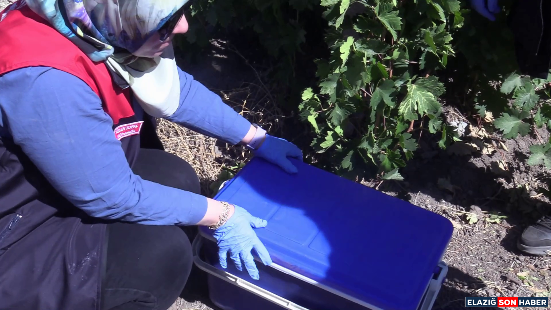 Vlcsnap 2025 09 17 16H17M06S484