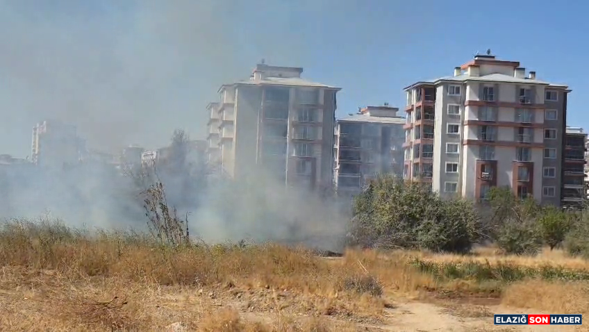 Vlcsnap 2025 09 19 11H52M19S132