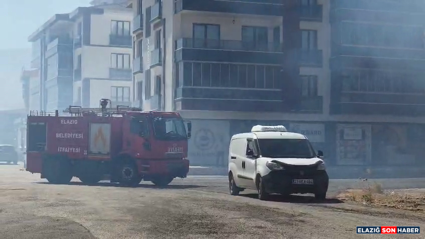 Vlcsnap 2025 09 19 11H52M33S495