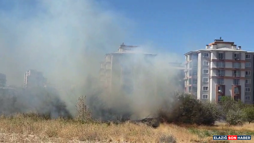 Vlcsnap 2025 09 19 11H52M48S953