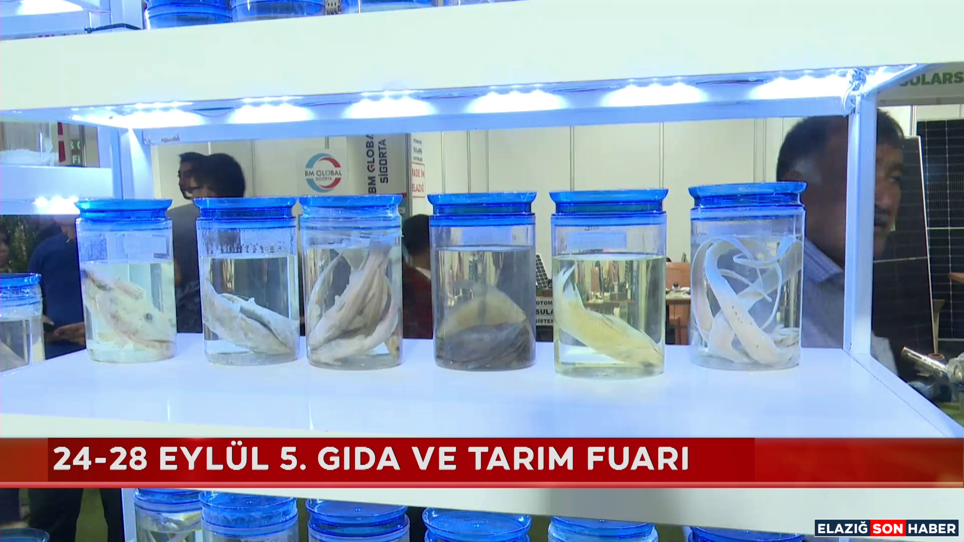 Vlcsnap 2025 09 27 16H26M40S943