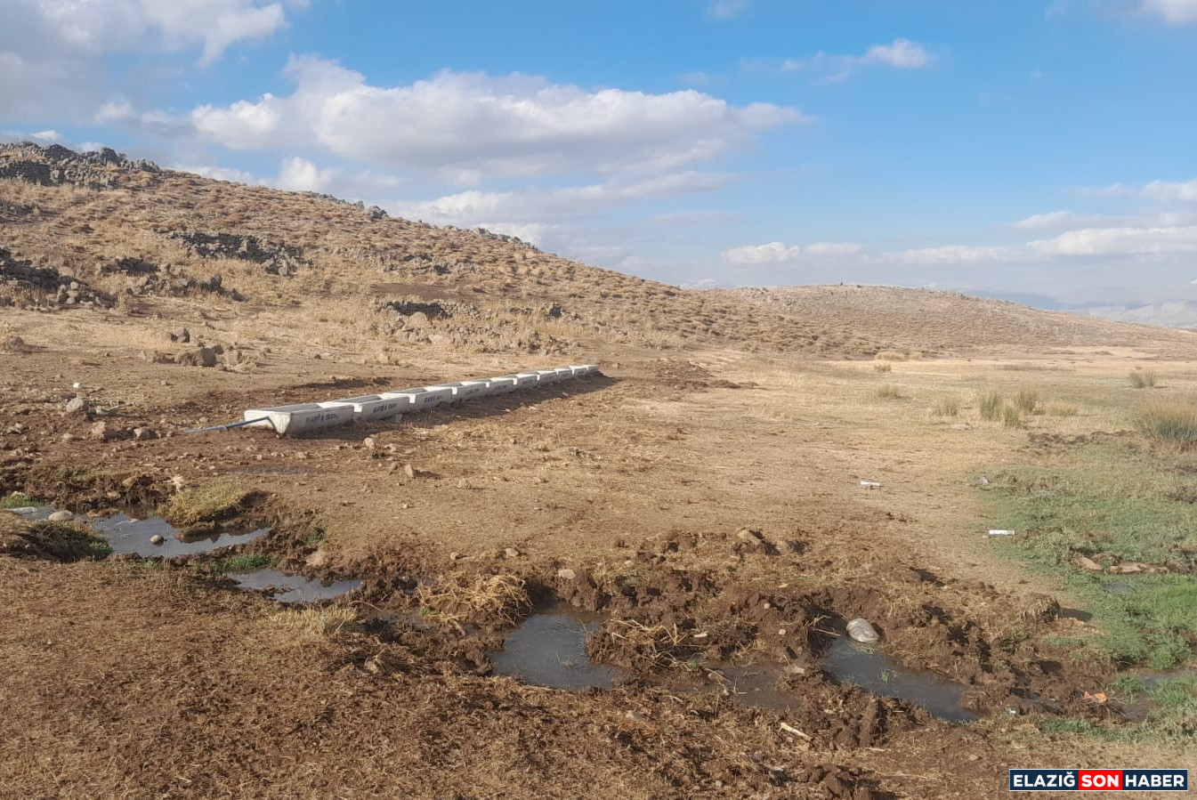 125358Cf Aee2 4Dc1 A509 580Dd3B4Bd42