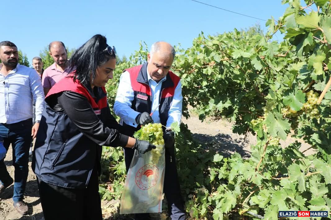 D4Bdbc55 7D2B 4Bf5 9241 Da4Bd8Cdc9Dd