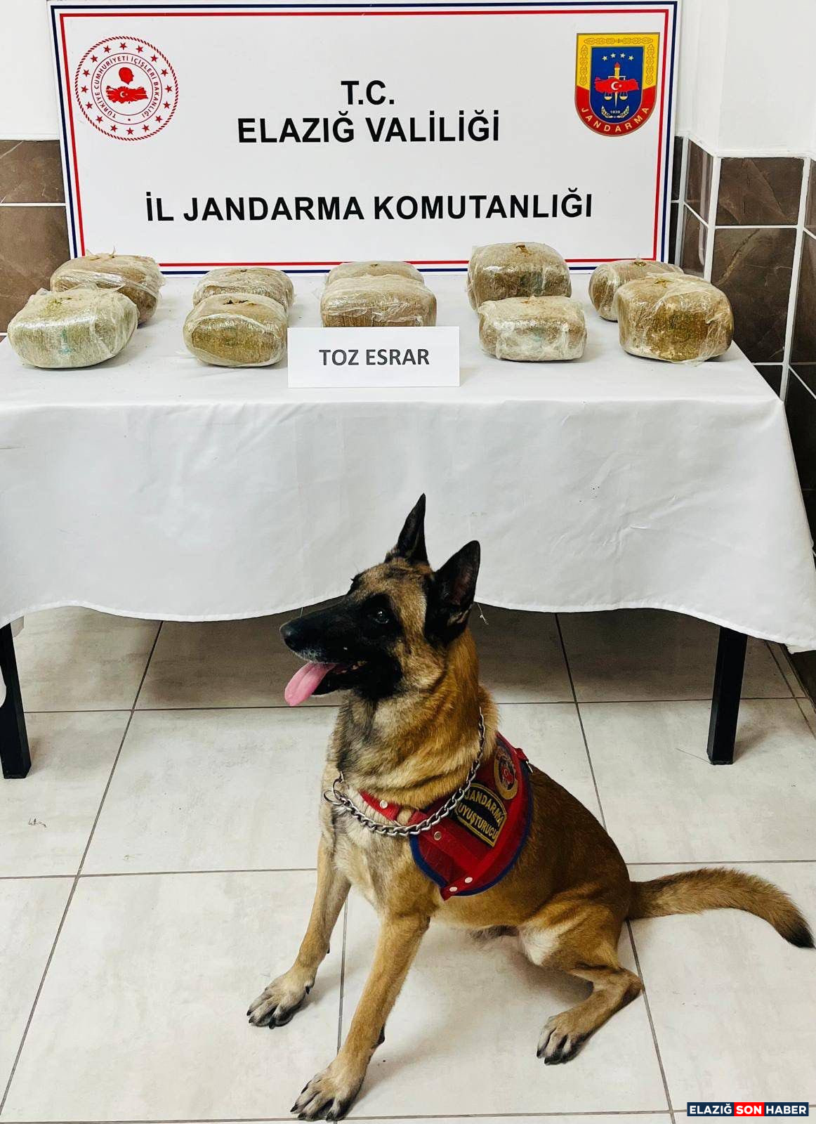 G2 W2 Ui8 Wg A A An D3