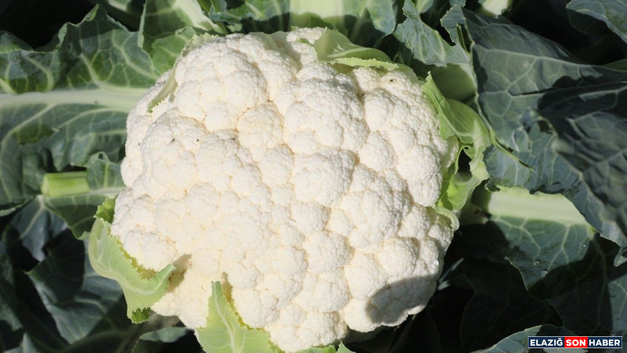 G4A5Krywuaa Zl4 1761296896