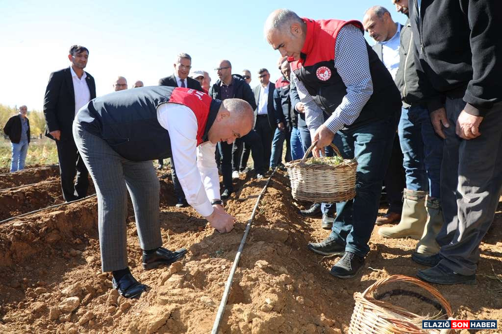 G4Gg D X1 X Q A Af Kyq