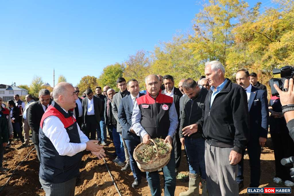 G4Gg D Xx X Q A Ay S Nw