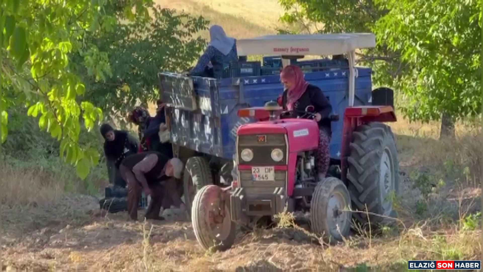 Vlcsnap 2025 10 01 19H06M46S116