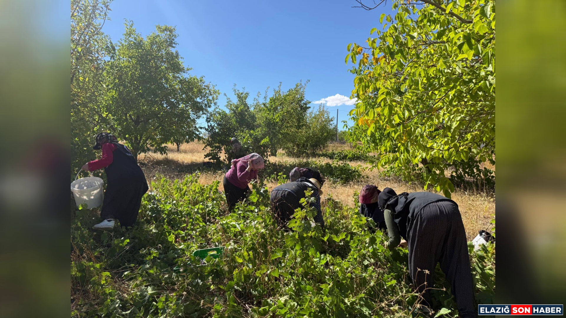 Vlcsnap 2025 10 01 19H07M13S129