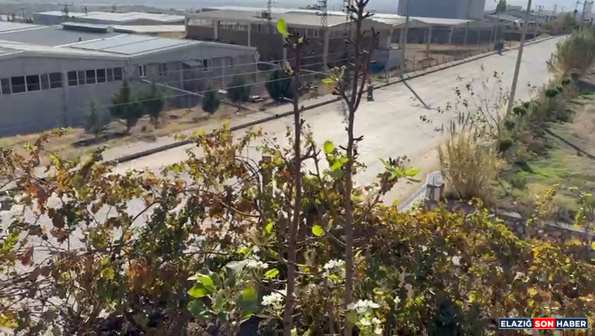 Vlcsnap 2025 10 28 15H07M01S448