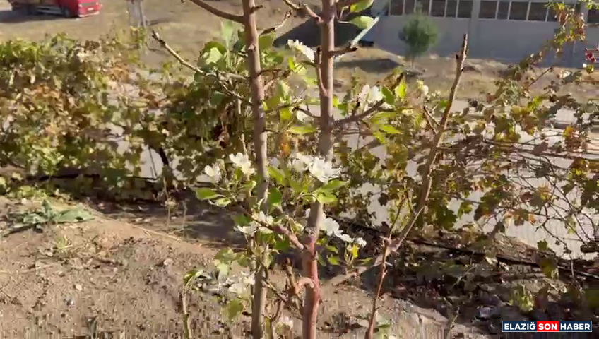 Vlcsnap 2025 10 28 15H07M06S249