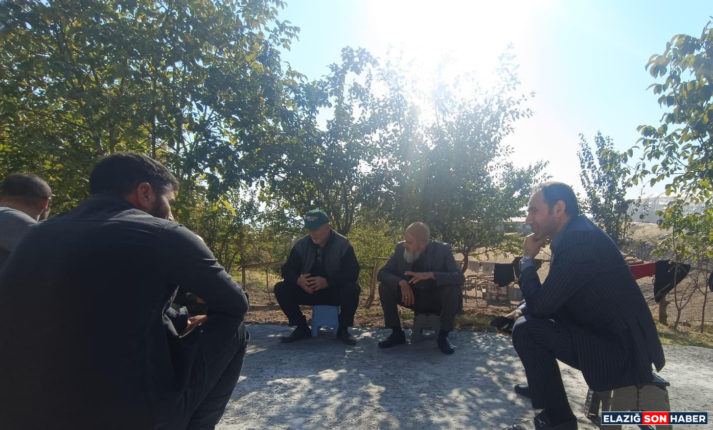 101F0C16 6A8C 4365 A25C 0596E1A6Dfdd