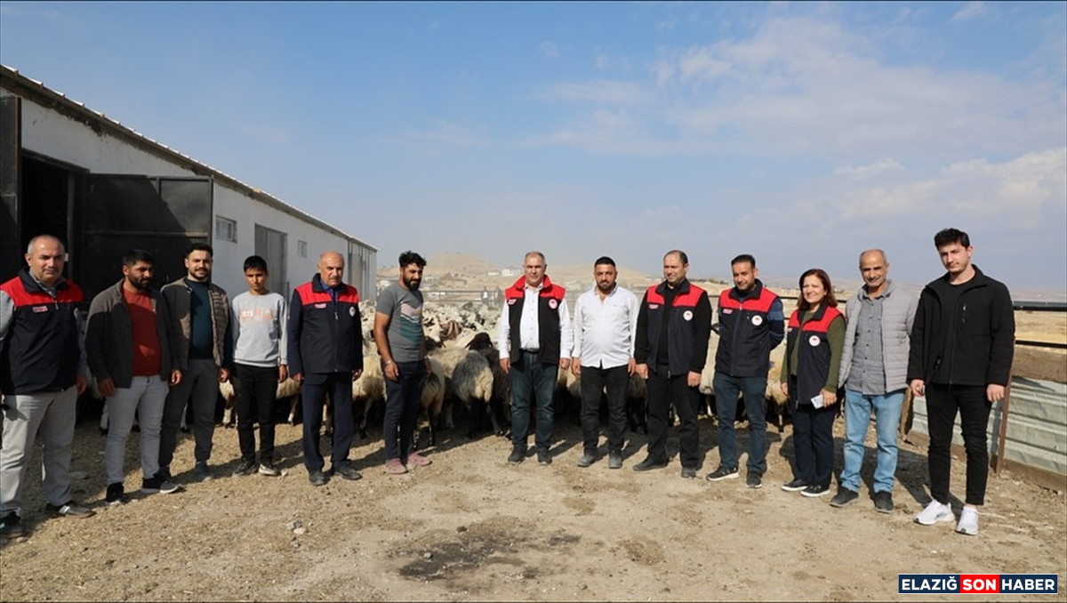 1763298512 Aa 20251116 39723151 39723148 Kebanda 400 Kucukbas Kapasiteli Modern Agil Faaliyete Basladi