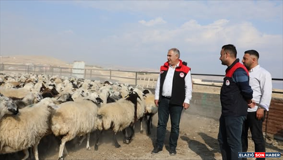 1763298512 Aa 20251116 39723151 39723149 Kebanda 400 Kucukbas Kapasiteli Modern Agil Faaliyete Basladi