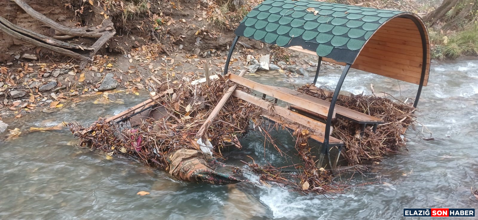 1763468193 Aw581780 01