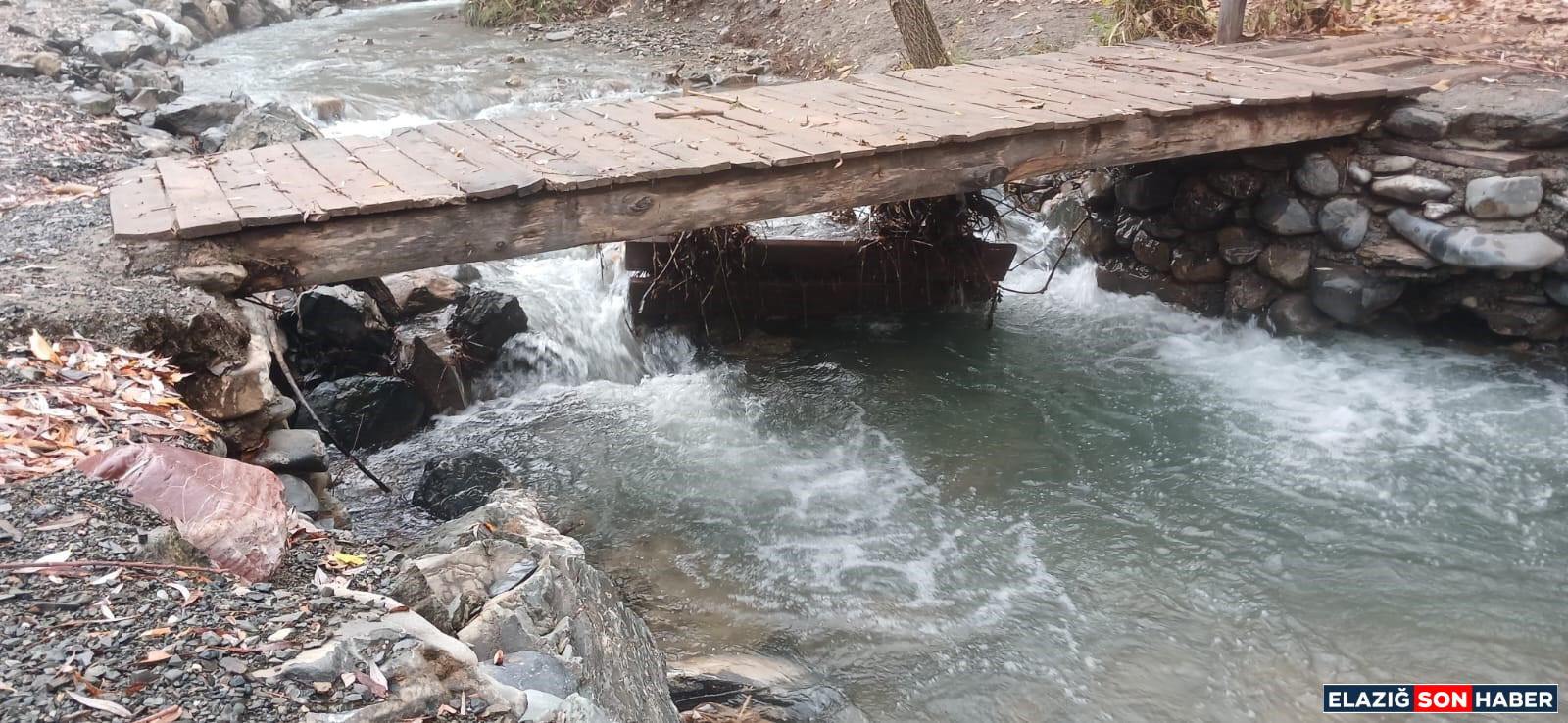 1763468194 Aw581780 04