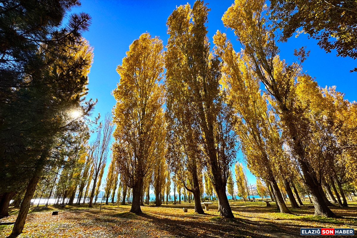 1764144688 Aa 20251125 39803230 39803222 Hazar Golunun Cevresi Sonbahar Renklerine Burundu