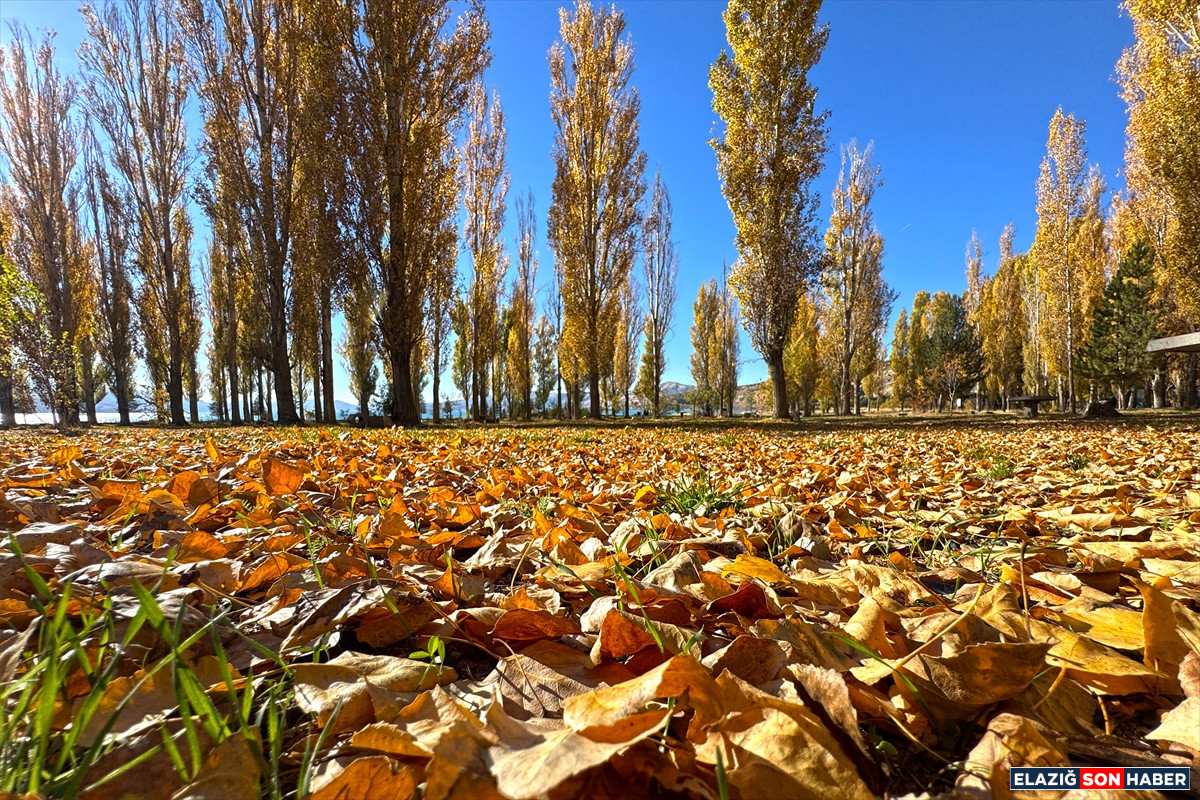 1764144690 Aa 20251125 39803230 39803224 Hazar Golunun Cevresi Sonbahar Renklerine Burundu