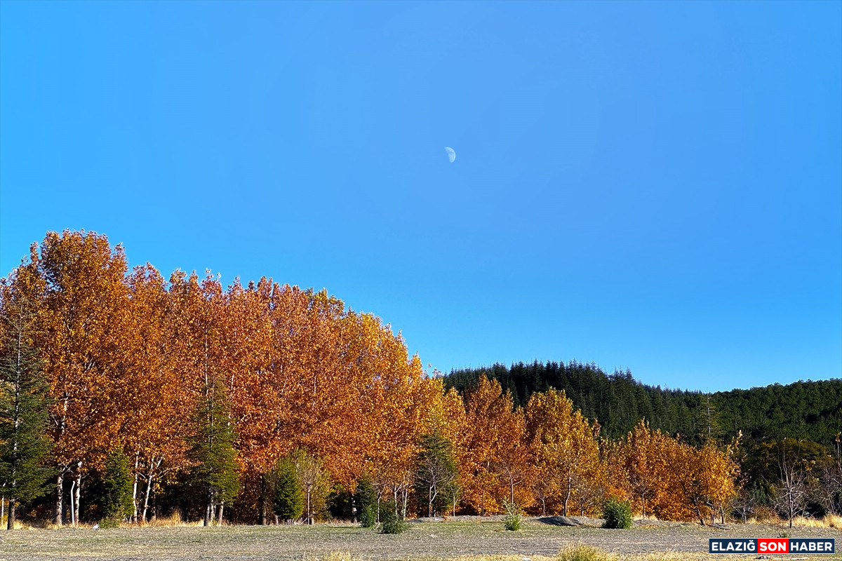 1764144690 Aa 20251125 39803230 39803228 Hazar Golunun Cevresi Sonbahar Renklerine Burundu