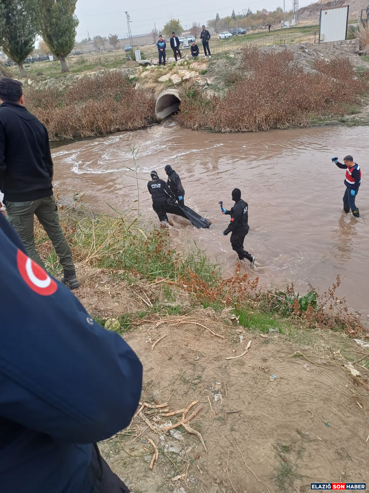 2Ce41D58 2481 4E48 8C68 Fb0C538Acf55